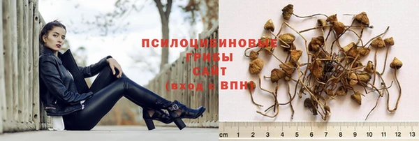 MDMA Медвежьегорск