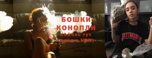 прущие грибы Горно-Алтайск