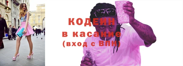 прущие грибы Горно-Алтайск