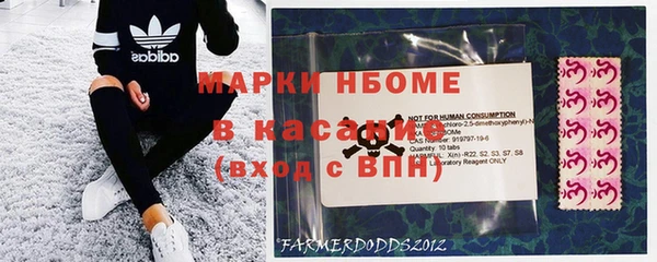 прущие грибы Горно-Алтайск