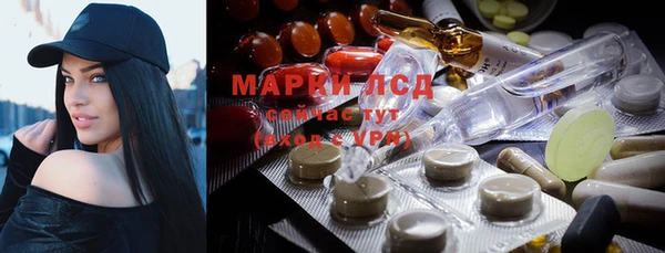 СК Медногорск