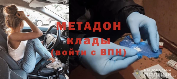 прущие грибы Горно-Алтайск