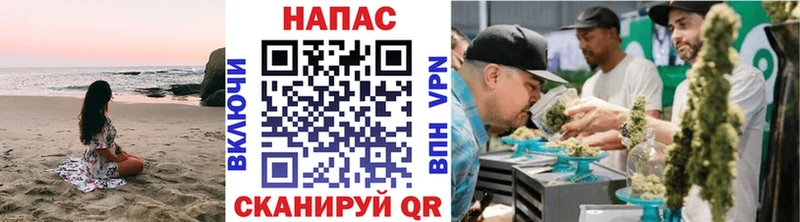 Конопля SATIVA & INDICA  Плёс 